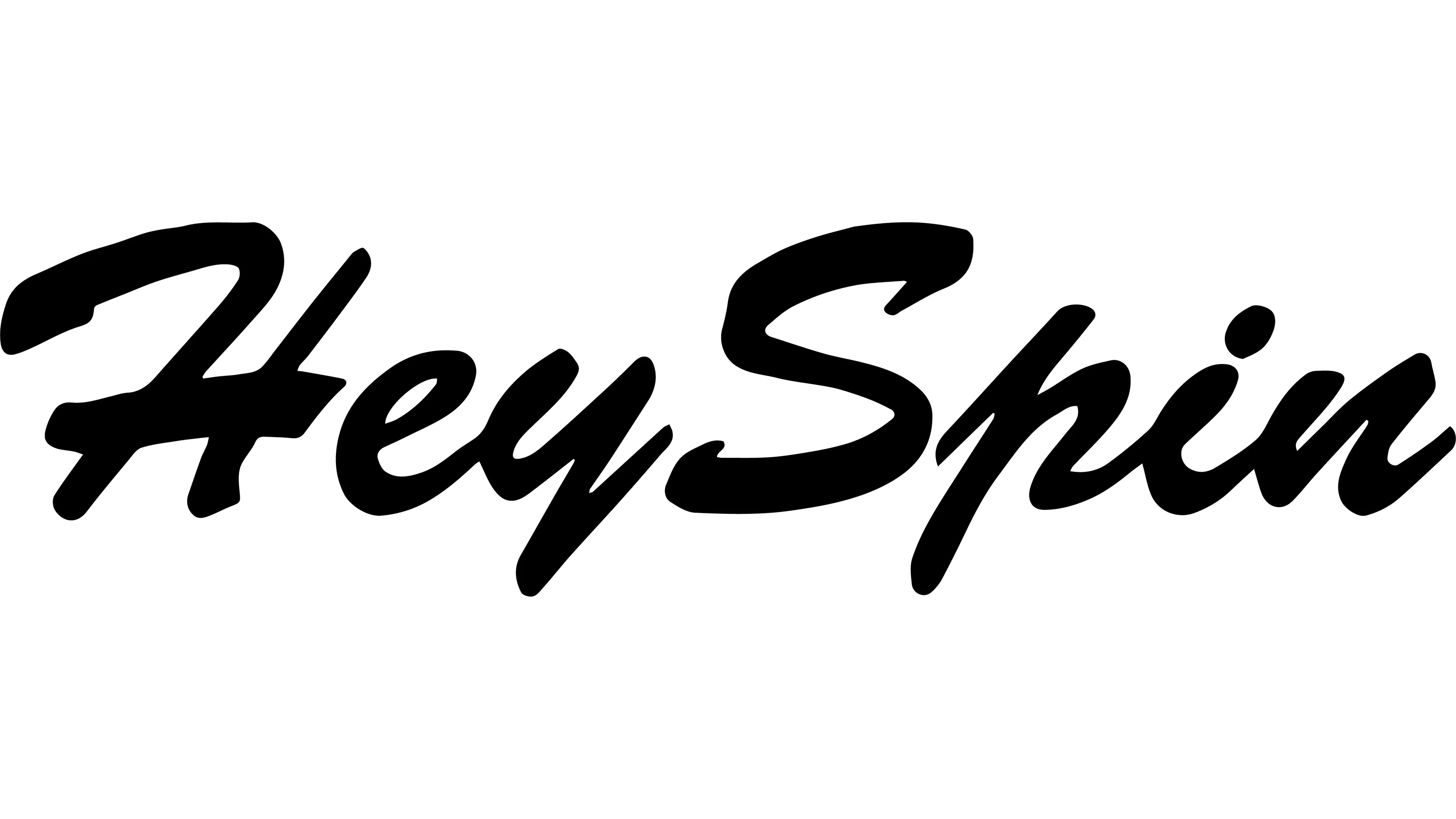 Heyspin logo